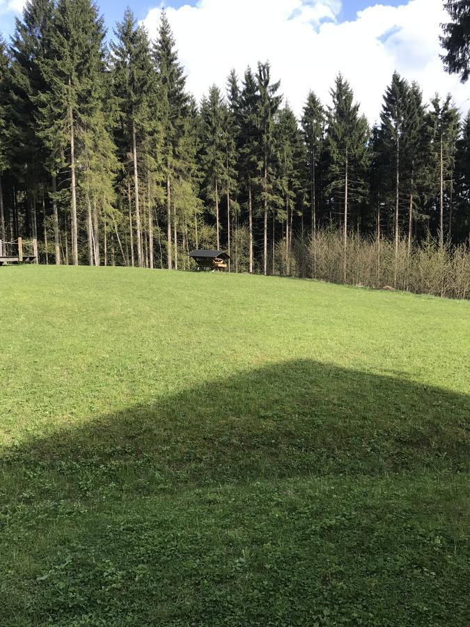Chalet6Harrachov Se Saunou Buitenkant foto