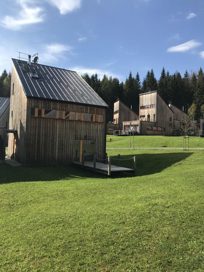 Chalet6Harrachov Se Saunou Buitenkant foto