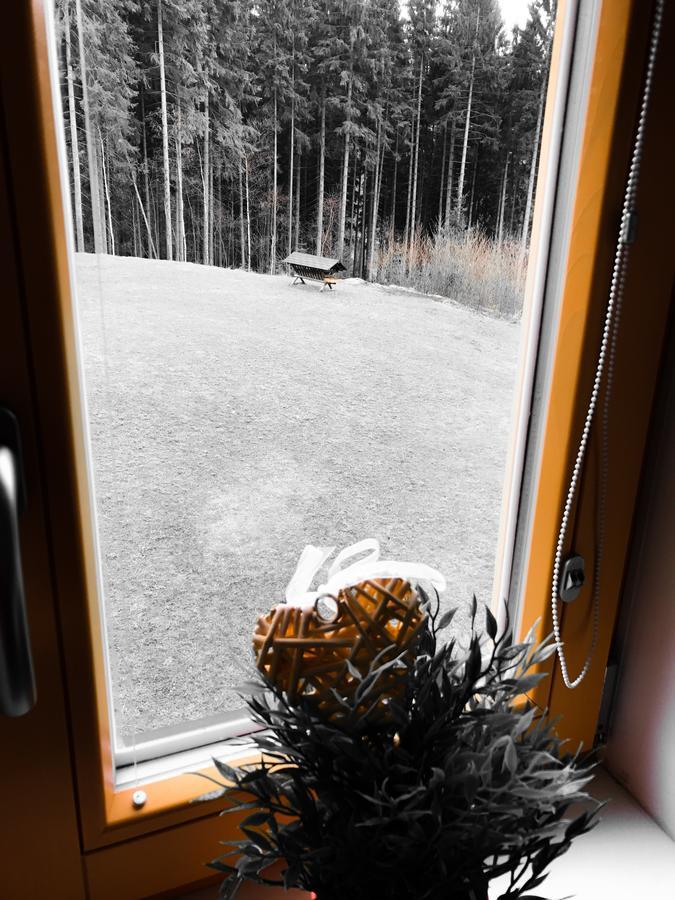 Chalet6Harrachov Se Saunou Buitenkant foto