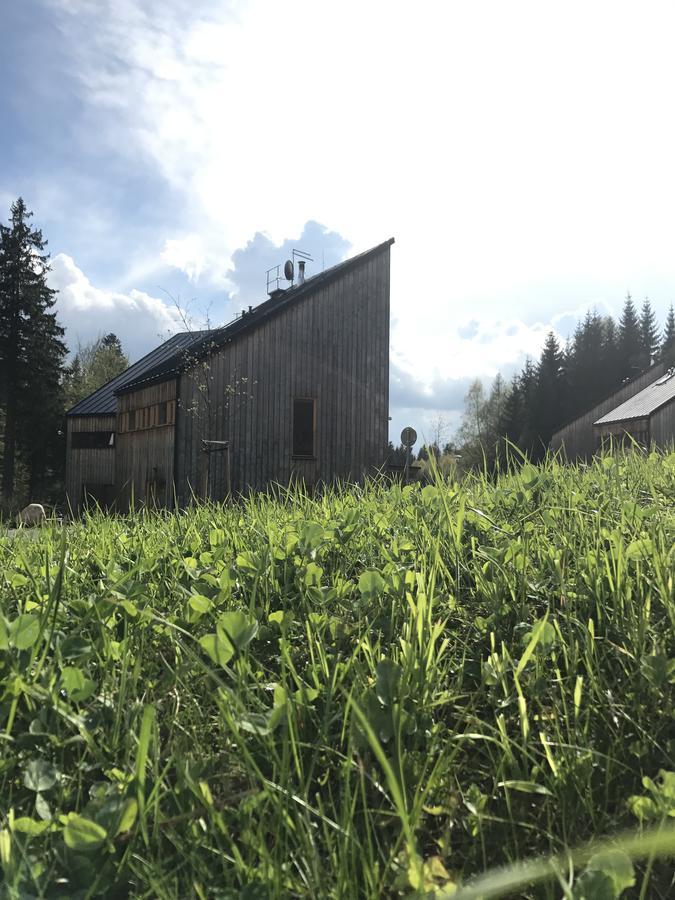 Chalet6Harrachov Se Saunou Buitenkant foto
